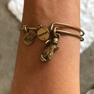 alex and ani otter charm bracelet bronze/gold